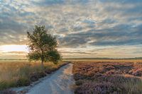 Sonnenaufgang in der Regte Heide.