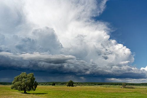 Sunny weather and thunderstorm front
