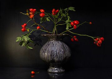 Still life with rose hip