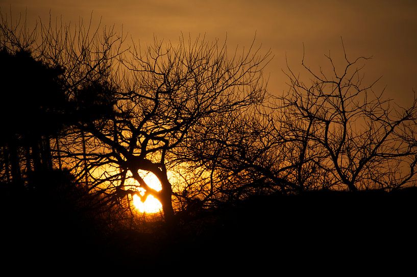 Dutch Fire-Sunset by Maria Tamburri