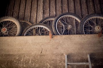 old tyres in the stable by Marloes Hoekema