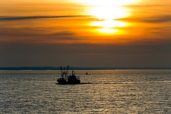 Vissersschip tijdens zonsondergang te Vlissingen
