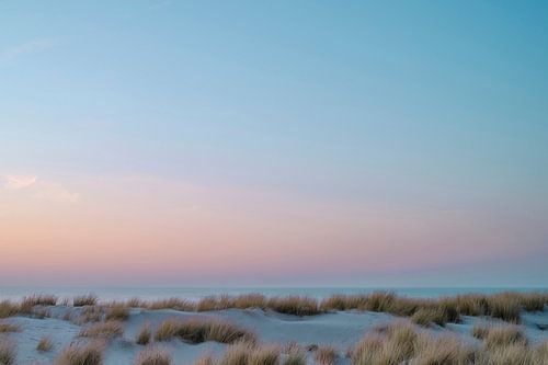 Duinen tijdens zonsondergang - Den Haag