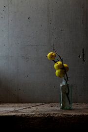 Still life Japanese Ornamental Wheat