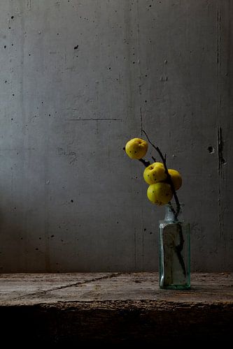 Nature morte Blé ornemental japonais