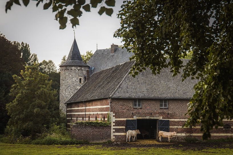 Wittem castle by Dirk van Egmond