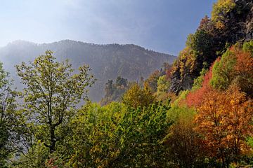 Bonte schakering herfstkleuren in het Aosta-dal in Noord Italié van Hein Fleuren
