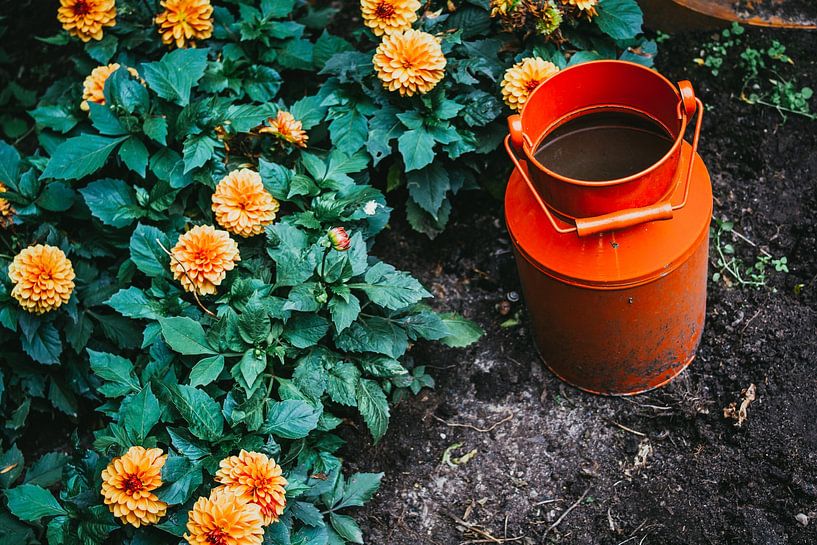 Orangenkrug, Orange Blumen von Patrycja Polechonska