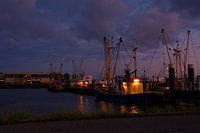 Visssersboot in haven Lauwersmeer
