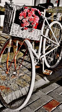 Deco-fiets van Werner Lehmann