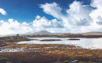 Schottland im Sommer. Die berühmten Highlands in stiller Idylle und Einsamkeit. von Jakob Baranowski - Photography - Video - Photoshop