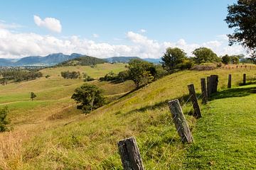 Groen heuvel landschap in Australië van Sonja Hogenboom