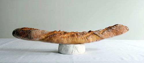 SL-376 Fromage baguette