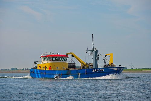 Fischerboot von Bruinisse. von Ada Munnik