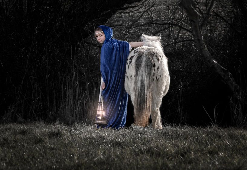 Meisje en haar pony met lamp 2 van Laura Loeve