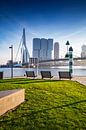 skyline van Rotterdam langs de Maas met  de karakteristieke Erasmusbrug en de moderne architectuur o van gaps photography thumbnail