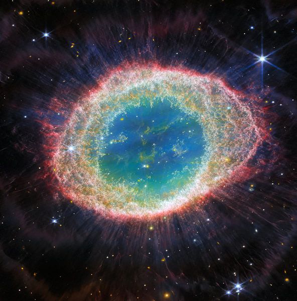 Ringnevel van NASA and Space