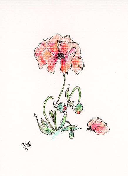Mohn mit afgefallenes Blatt, als Symbol für diejenigen, die vermisst werden. von Marian van der Veen-Niemeijer