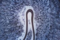 Bend / Tight curve of the Black Forest High Road near Freudenstadt through the snowy winter forest