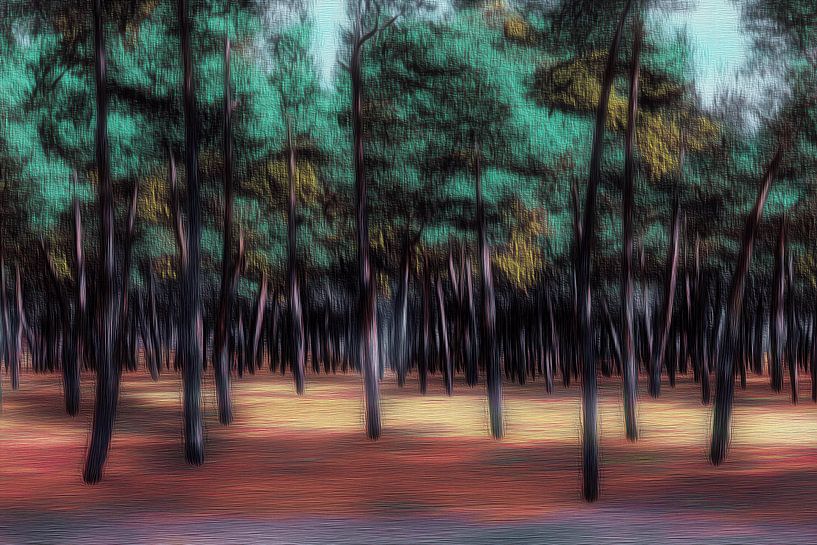 La magie de la forêt par Ton Kuijpers