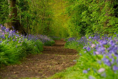 Der endlose Weg mit Farbe
