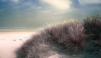 2891 Dune grass van Adrien Hendrickx thumbnail