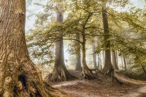 Enttreffen in Lochem von Lars van de Goor