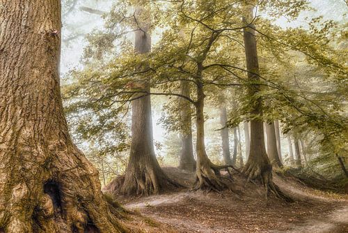 Enttreffen in Lochem