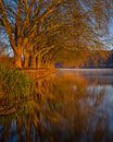 Baldeneysee, Essen, North Rhine-Westphalia, Germany by Alexander Ludwig thumbnail