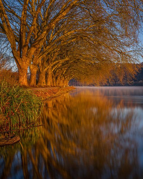 Baldeneysee, Essen, North Rhine-Westphalia, Germany by Alexander Ludwig