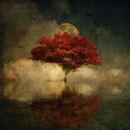 Giant Oak In A Dream