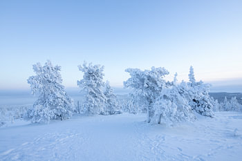 Finnisch-Lappland