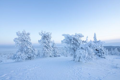 Fins Lapland