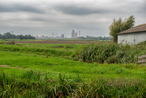 Amsterdam is on the rise ... by Don Fonzarelli