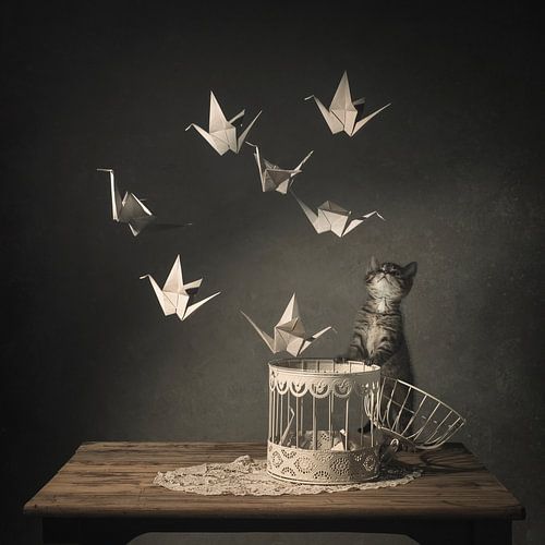 They're flying away!