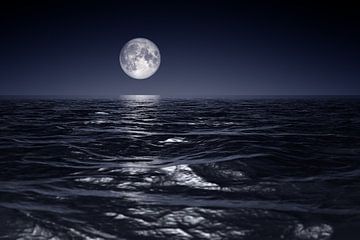 wide ocean waves horizon moon night background