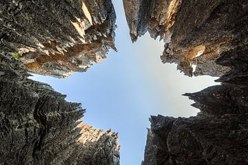 Hoge scherpe rotsen van de Tsingy in Madagaksar van Dennis van de Water