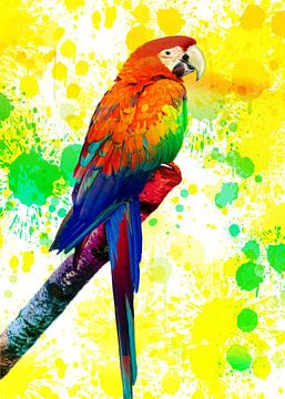 Parrot by Reinaerde Digiteam Woerden