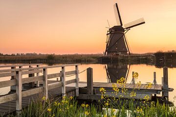 Windmolen bij zonsopgang, Kinderdijk, Nederland van Markus Lange