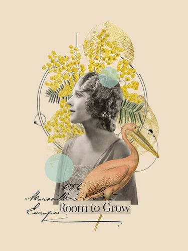 Room to grow van collagesdemarie