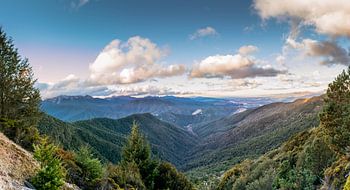 More then just Vineyards in Marlborough