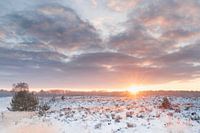 Winter Sonnenaufgang Kampina