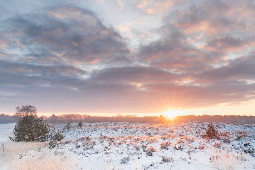 Winter Sonnenaufgang Kampina von Ruud Engels