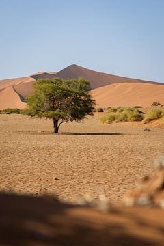 Einsamer Baum in der namibischen Wüste | Sosusvlei von Tine Depré