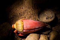 Bananen Bloem