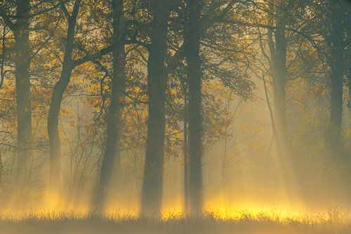 Und es gab ein Sonnenfeuer