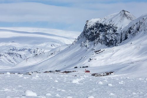 Ruige winterse schoonheid