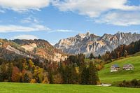 Automne dans les Alpes suisses avec vue sur le Säntis