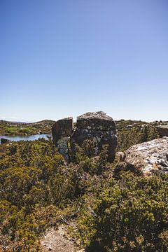 Mount Field: Juweel van Tasmanië's Wildernis van Ken Tempelers