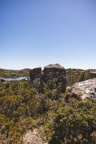 Mount Field: Juweel van Tasmanië's Wildernis